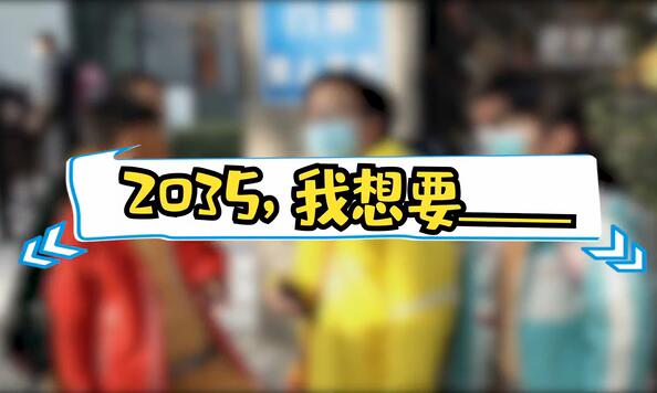 2035，我想要____
