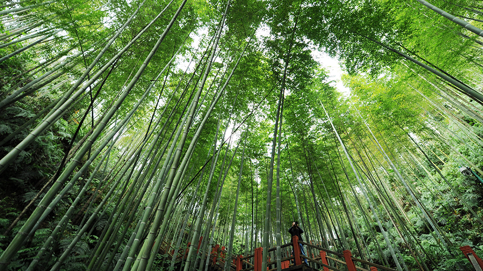 合作共治、責(zé)任共擔(dān)、效益共享&mdash;&mdash;赤水河流域跨省生態(tài)補(bǔ)償取得積極成效