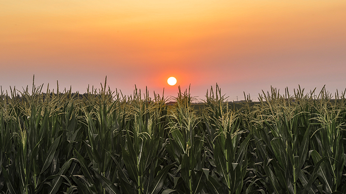 風(fēng)卷紅旗過大關(guān)&mdash;&mdash;以習(xí)近平同志為核心的黨中央領(lǐng)航中國為實現(xiàn)第一個百年奮斗目標(biāo)而奮勇拼搏紀(jì)實