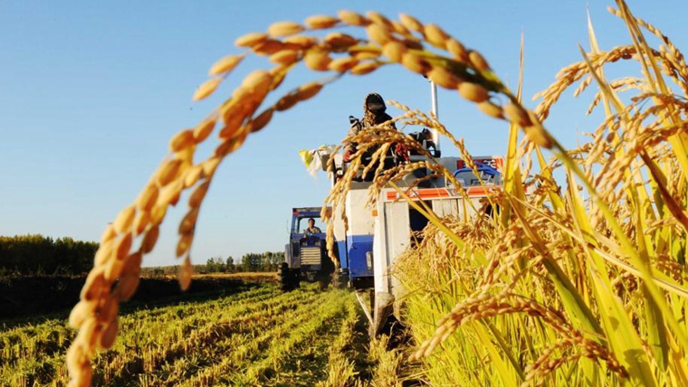 熱血沃黑土&mdash;&mdash;北大荒精神述評(píng)