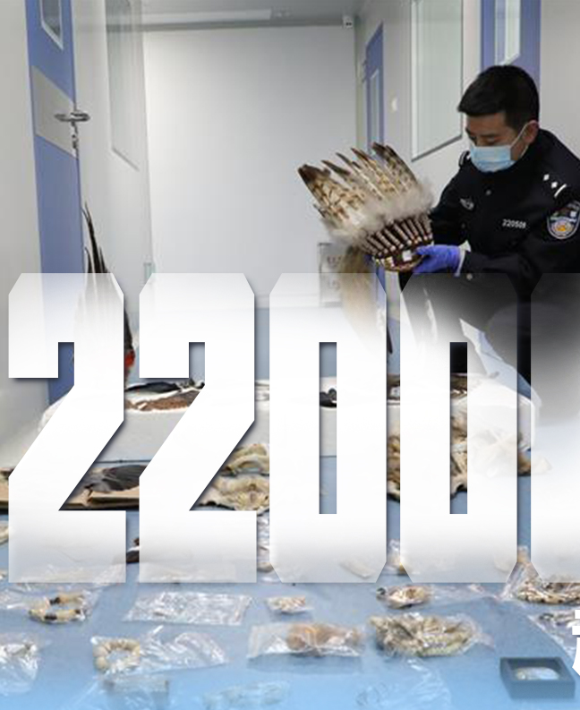 抗疫有&ldquo;法&rdquo;，就是這么給力！