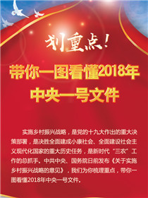 劃重點(diǎn)！帶你一圖看懂2018年中央一號(hào)文件