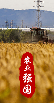 農(nóng)業(yè)強(qiáng)國(guó)是社會(huì)主義現(xiàn)代化強(qiáng)國(guó)的根基。