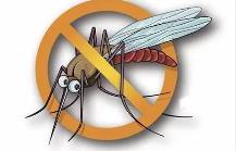 夏季，常見(jiàn)蚊蟲(chóng)如何應(yīng)對(duì)