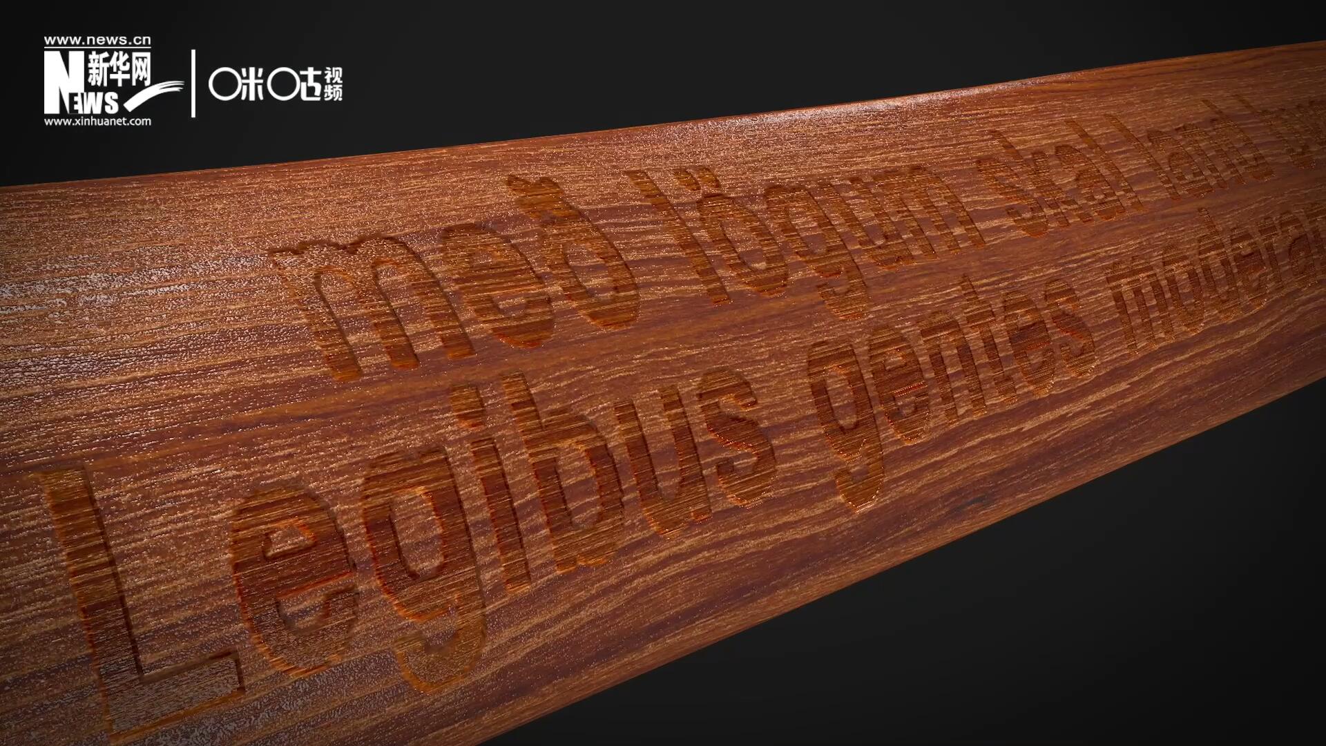 這把木槌尺寸超大、顏色棕紅、精雕細刻，上面刻有&ldquo;社會必須建立在法律的基礎(chǔ)上&rdquo;。