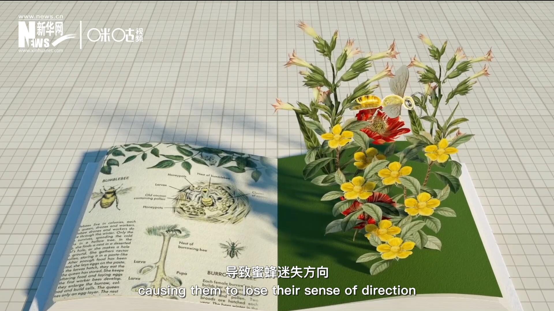 殺蟲劑會破壞蜜蜂的神經(jīng)系統(tǒng)，導(dǎo)致蜜蜂迷失方向，無法回到蜂房，還會降低蜜蜂的抵抗力