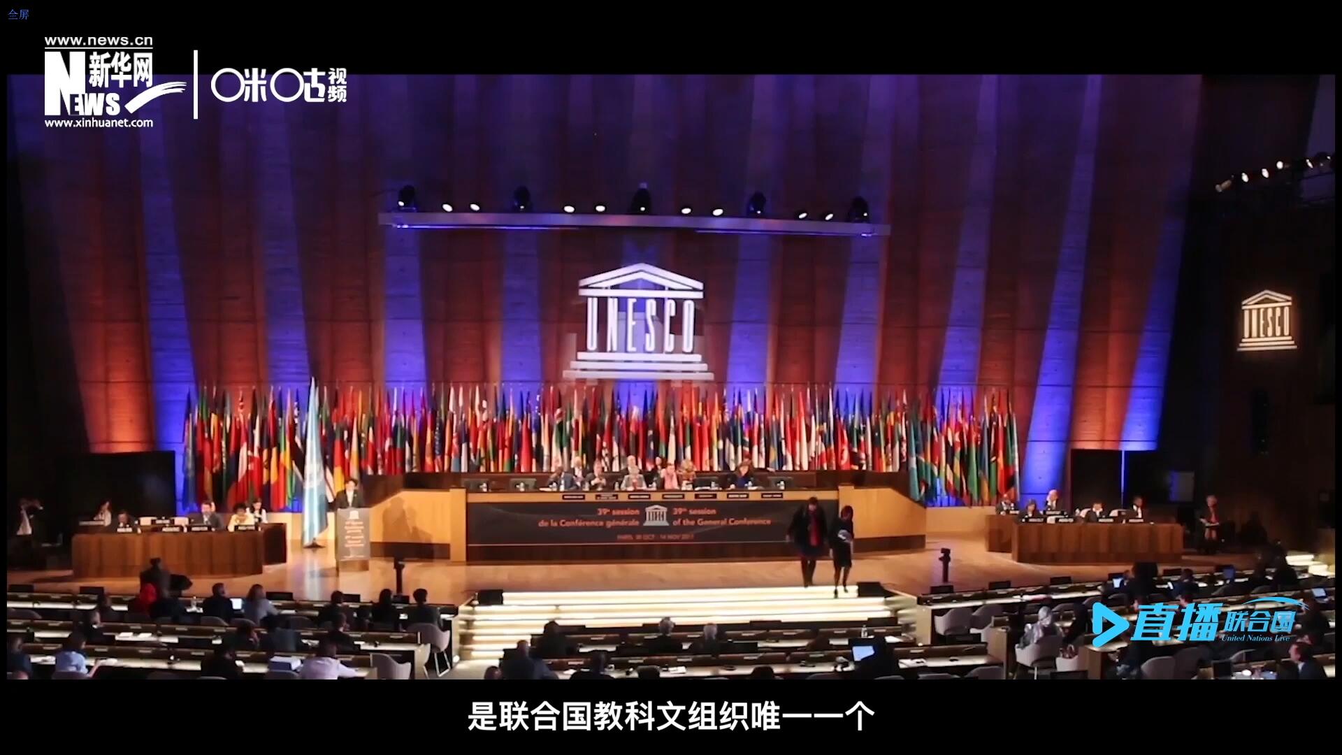 民間藝術(shù)國(guó)際組織成立于1979年，是聯(lián)合國(guó)教科文組織唯一一個(gè)以保護(hù)和挖掘國(guó)際民間藝術(shù)為工作中心的國(guó)際機(jī)構(gòu)。