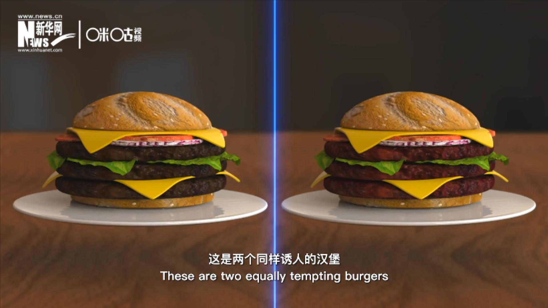 人造肉漢堡能在生產(chǎn)過程中節(jié)約水、土地、排放以及能量