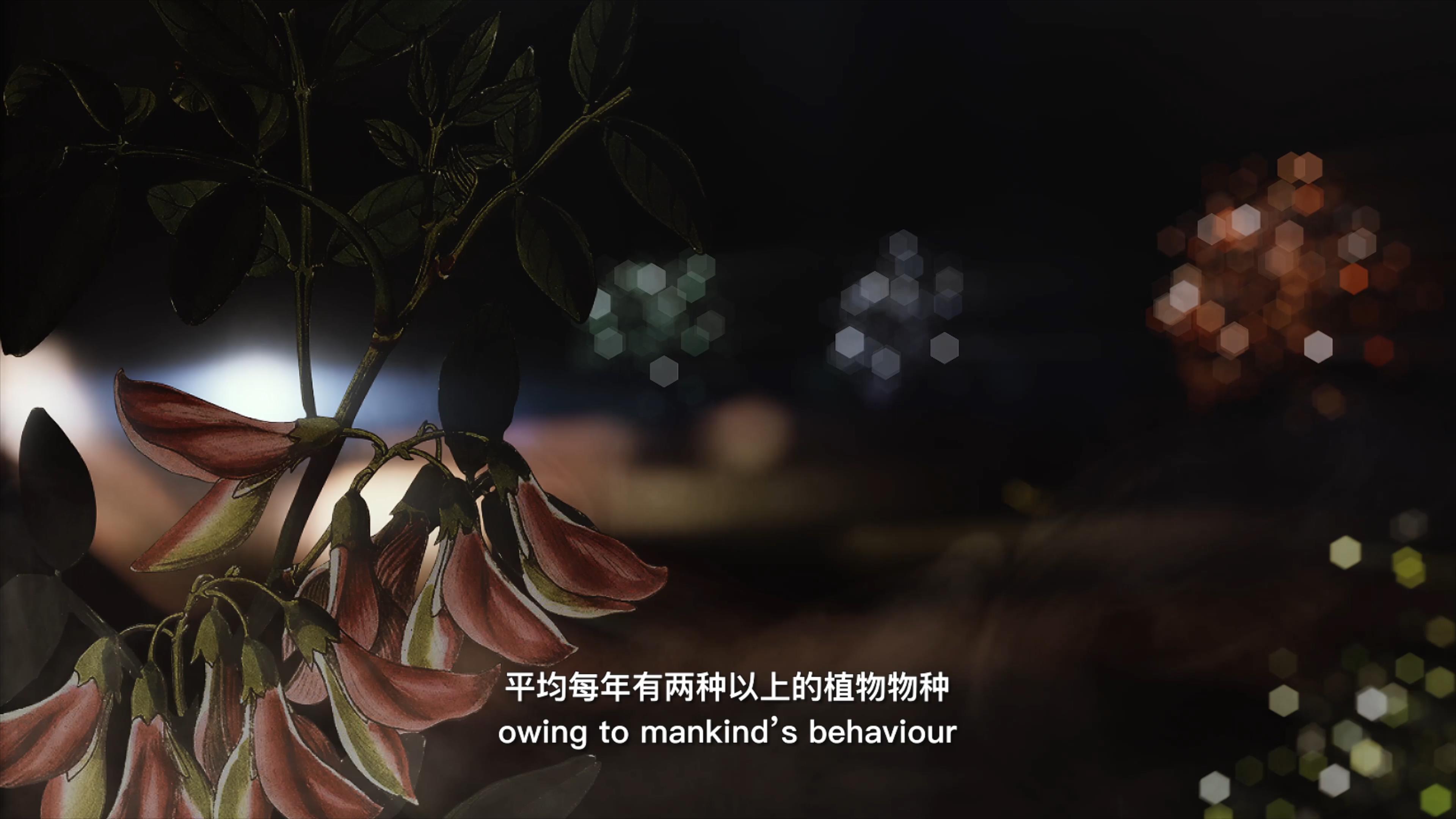 自18世紀(jì)中葉以來(lái)，許多植物物種因?yàn)槿祟?lèi)的原因而從地球上消失