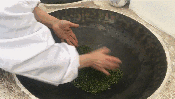 申遺，把雨花茶手藝傳承下去