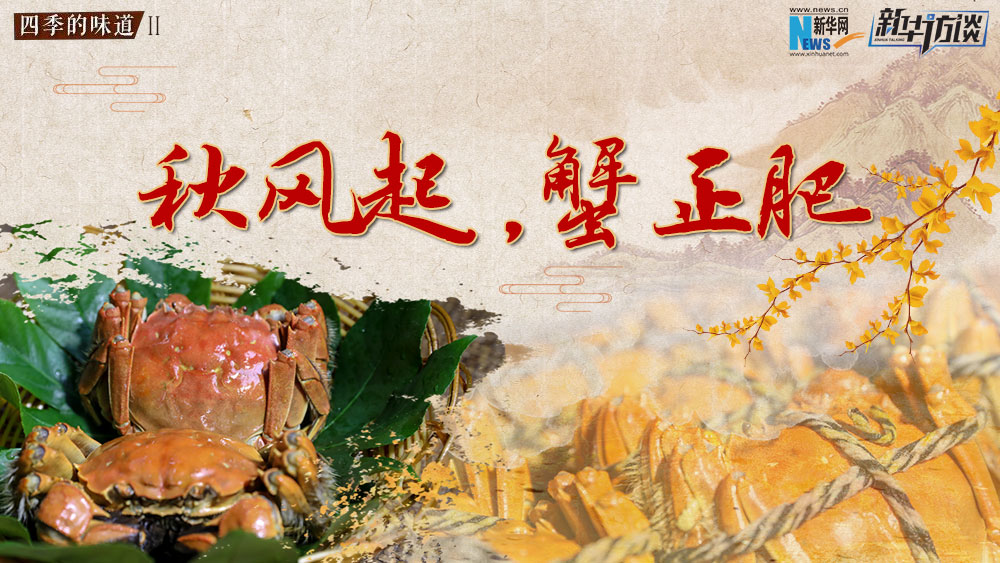 秋風(fēng)起，蟹正肥