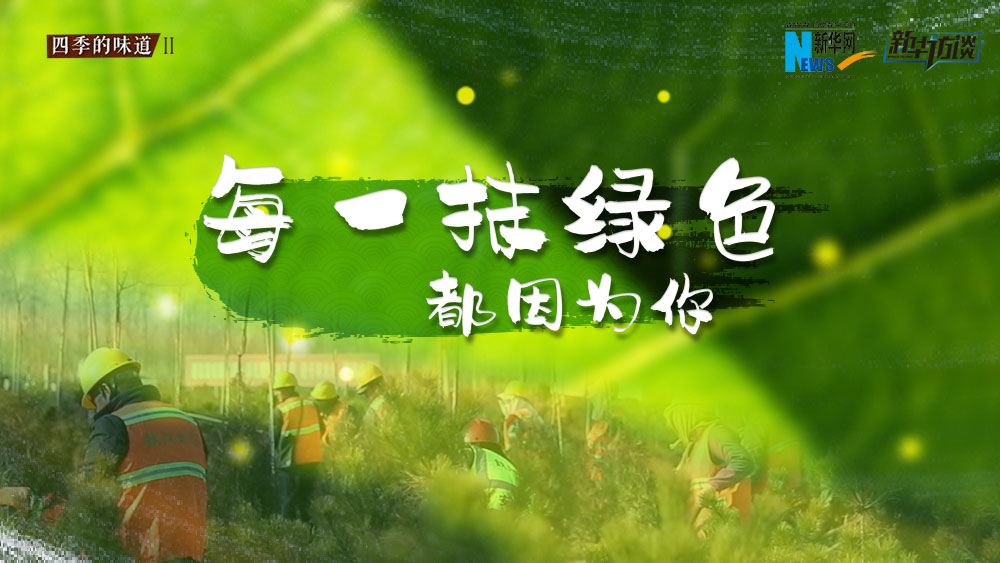 千年秀林，每一抹綠色都因?yàn)槟? /></p>
<p class=