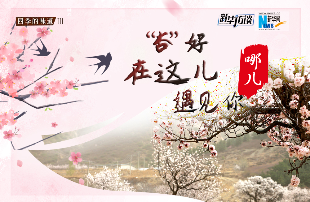 哪兒？&ldquo;杏&rdquo;好在這兒遇見你！