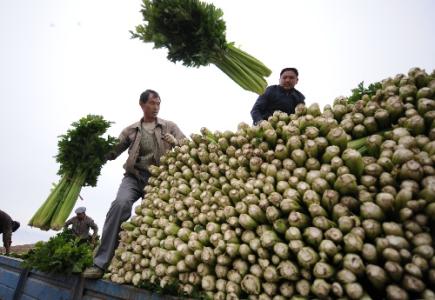 劉永富：發(fā)展產業(yè)脫貧仍是精準扶貧、精準脫貧主攻方向