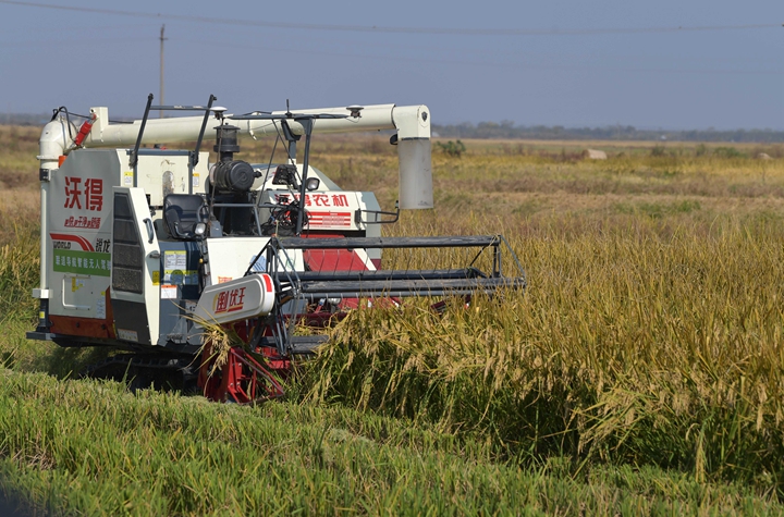 新華社評論員:穩(wěn)固耕地基本盤，打好種業(yè)翻身仗