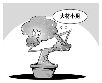 自認(rèn)&ldquo;大材小用&rdquo;，不如腳踏實(shí)地