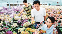 臺商眼中的改革開放：風景這邊獨好 要去，要去，要去！