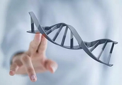 小細胞肺癌需要做基因檢測嗎？