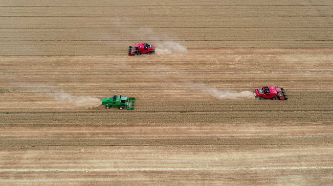 【&ldquo;飛閱&rdquo;中國(guó)】黃河兩岸，麥浪翻滾遍地金