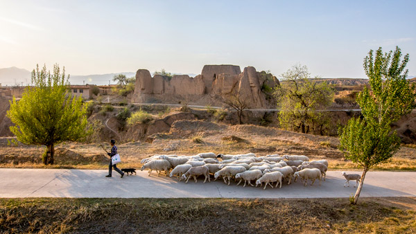 追夢(mèng)足跡｜上馬圈：鐵馬冰河，黃土斑駁