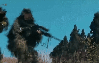 突入，擊斃！直擊武警特戰(zhàn)反劫持演練！