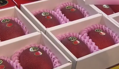 宮崎縣&ldquo;太陽蛋&rdquo;芒果 兩個(gè)拍出20萬日元