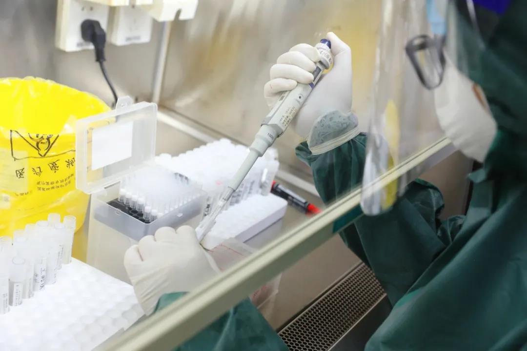 22人連軸轉(zhuǎn) 24小時(shí)&ldquo;搶&rdquo;出上萬(wàn)份核酸報(bào)告