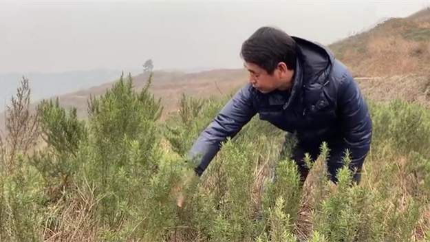 新春走基層｜脫貧后，駐村扶貧隊(duì)長在干啥？