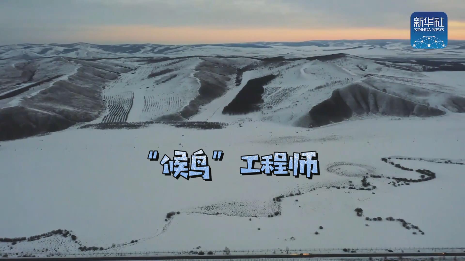 我們在奔跑丨一路向北！他是逆行的&ldquo;候鳥&rdquo;