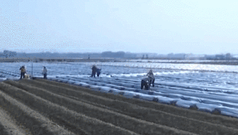 奏響新一年春耕&ldquo;進(jìn)行曲&rdquo;