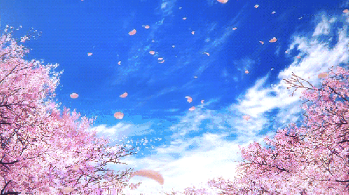 寧波這個(gè)地方早櫻花開成海，滿足你對春天的所有想象