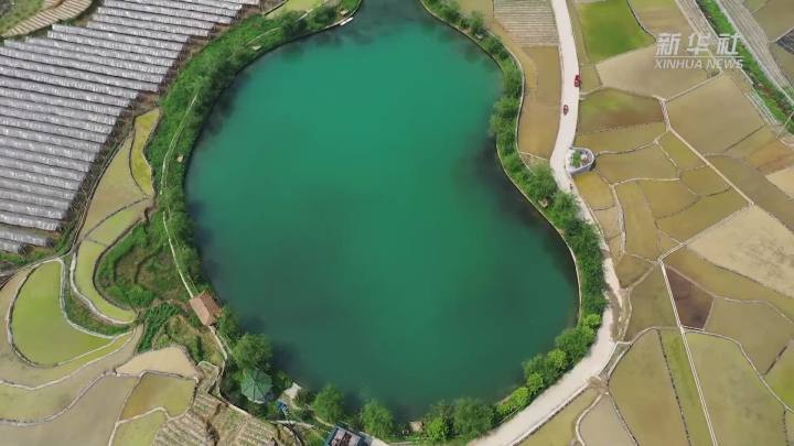 稻田新插，這里的山村美翻了！