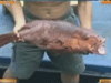 [新聞1+1] 走，南沙捕魚去！
