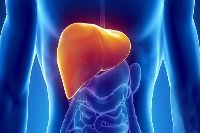 【健康解碼】轉(zhuǎn)氨酶輕度升高要不要緊？