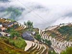 崇義梯田美景