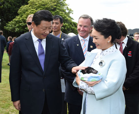 11月18日，國(guó)家主席習(xí)近平在澳大利亞塔斯馬尼亞州與朗塞斯頓市斯科奇－歐克伯恩小學(xué)的小學(xué)生共同植樹(shù)。這是習(xí)近平和夫人彭麗媛植樹(shù)后撫摸袋獾。新華社記者 馬占成 攝