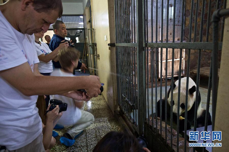 （晚報）（2）&ldquo;歐洲熊貓粉絲四川探親之旅&rdquo;自駕團(tuán)抵達(dá)成都