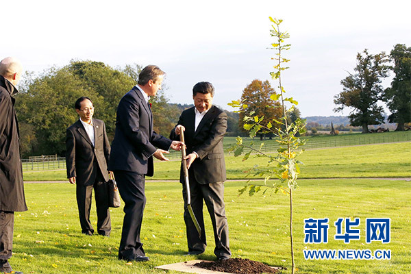 兩國領(lǐng)導(dǎo)人一同在別墅草坪，共同種下象征中英友誼的橡樹。新華社記者 鞠鵬 攝