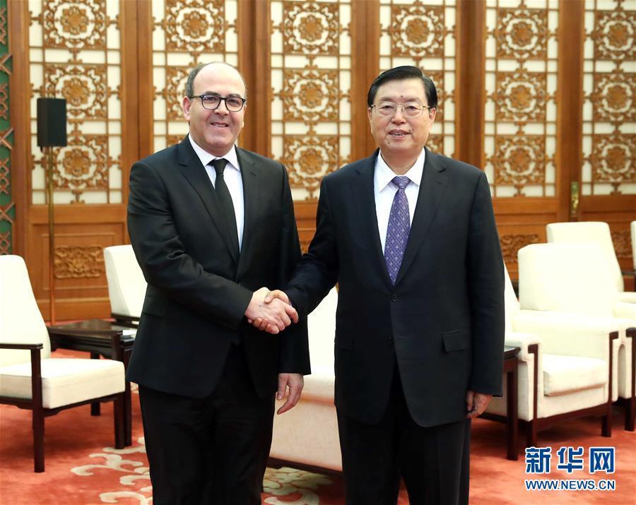 12月20日，全國人大常委會委員長張德江在北京人民大會堂會見摩洛哥參議長本希馬。新華社記者劉衛(wèi)兵攝