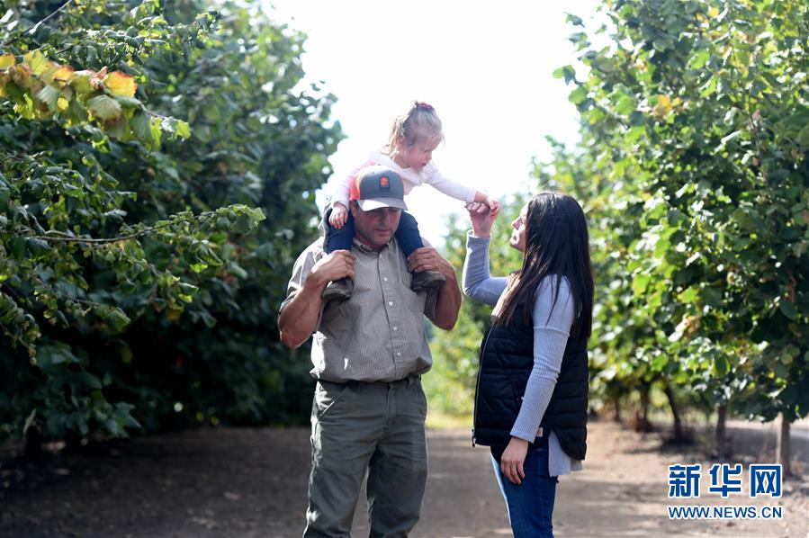 (國際·圖文互動(dòng))(2)“這些樹寄托著我們對中國市場的信心”——探訪美俄勒岡州榛子果農(nóng)