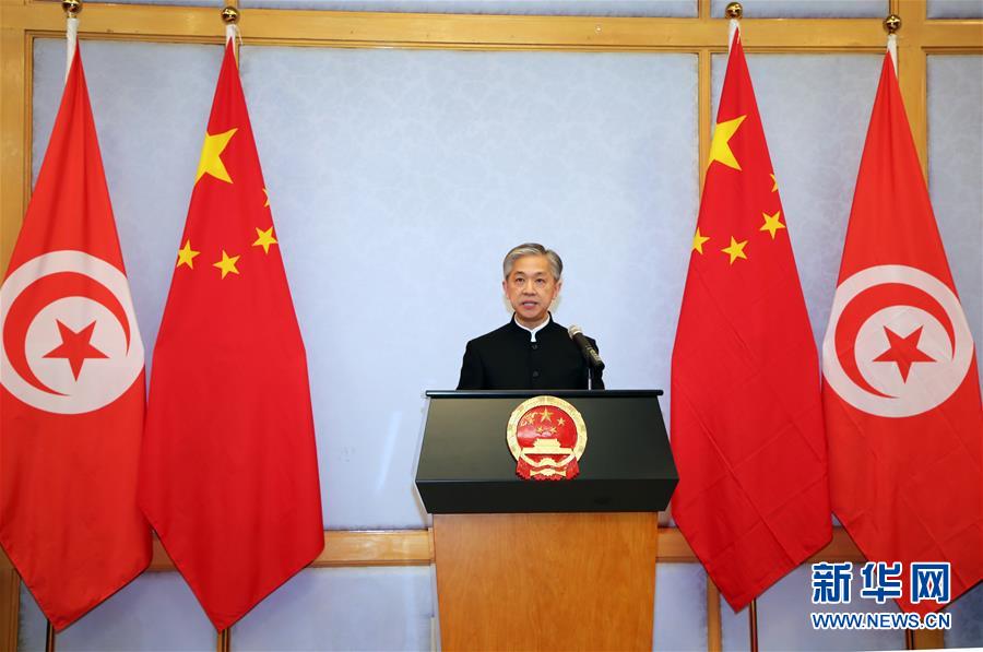 （XHDW&middot;圖文互動）（2）五湖迎亥歲　四海賀新春&mdash;&mdash;我駐外使領館舉辦新春招待會喜迎農(nóng)歷新年