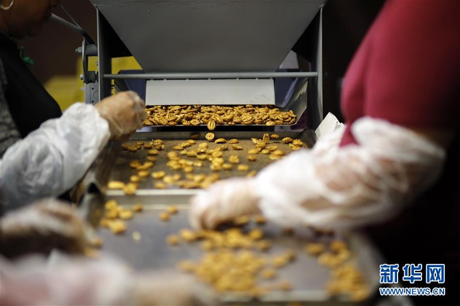 (國(guó)際·圖文互動(dòng))(8)通訊:期待美中盡早達(dá)成貿(mào)易協(xié)議——颶風(fēng)和關(guān)稅夾擊下的美國(guó)山核桃種植戶盼重回中國(guó)市場(chǎng)