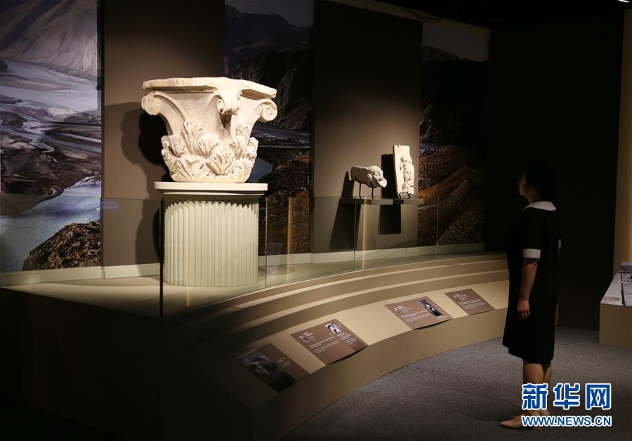 （港澳臺(tái)&middot;圖文互動(dòng)）（4）特寫：&ldquo;流浪&rdquo;到香港的阿富汗國(guó)寶