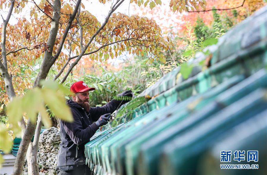 （國際&middot;圖文互動）（1）通訊：守護(hù)魯爾河畔中國園林的德國志愿者