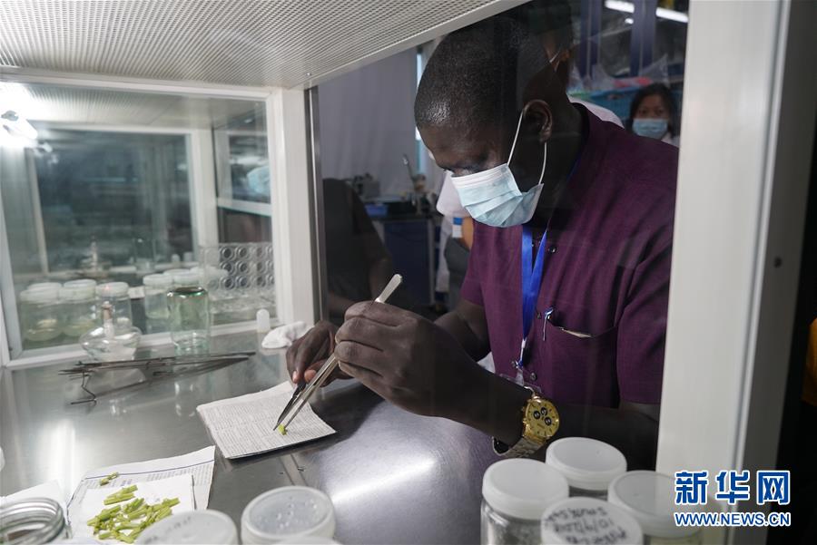 （在習(xí)近平新時(shí)代中國特色社會(huì)主義思想指引下&mdash;&mdash;新時(shí)代新作為新篇章&middot;總書記關(guān)切開放事&middot;圖文互動(dòng)）（8）來中國&ldquo;學(xué)種地&rdquo;的&ldquo;洋學(xué)生&rdquo;