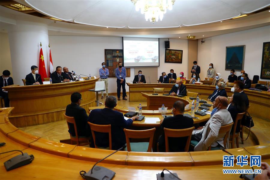 (國(guó)際·圖文互動(dòng))埃及文化部舉辦“中埃文化關(guān)系”專題研討會(huì)