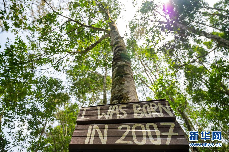 (第三屆進博會·圖文互動)(4)專訪:進博會提供了一個共享中國發(fā)展機遇的平臺