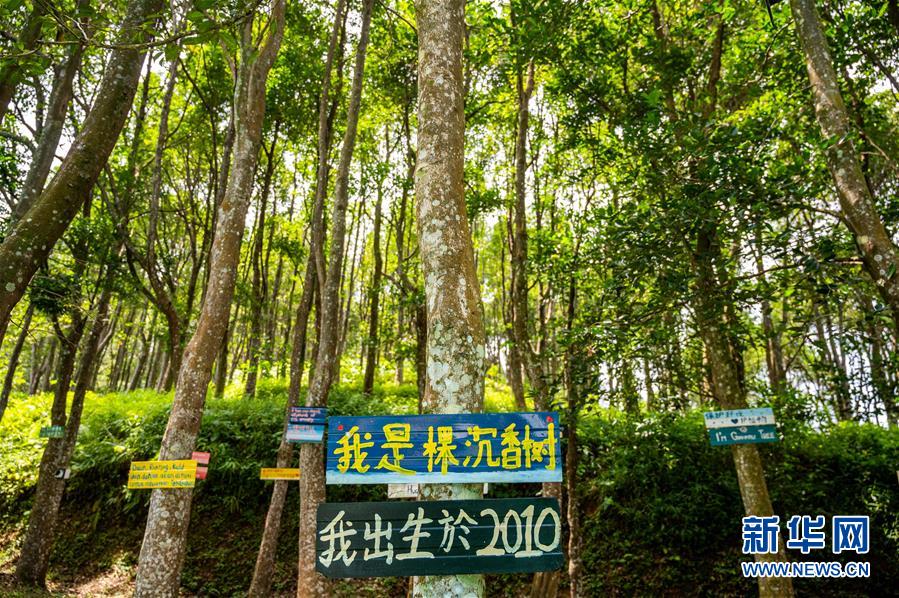 (第三屆進博會·圖文互動)(10)專訪:進博會提供了一個共享中國發(fā)展機遇的平臺