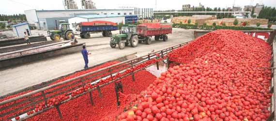 中國推動構(gòu)建共贏、互信、發(fā)展的新絲綢之路