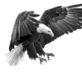 誰是世界秩序的真正破壞者？